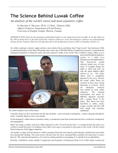 The Science Behind Luwak Coffee