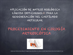 APLICACION DE MATRIZ BIOLOGI CA LÍQUIDA (BST