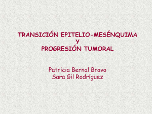 transición epitelio-mesénquima y progresión tumoral