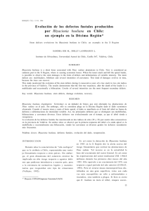 Evolución de los defectos fustales producidos por Rhyacionia