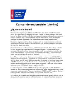 Cáncer de endometrio (uterino) - Sociedad Venezolana de Oncología