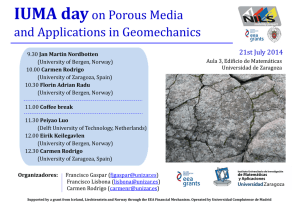 IUMA day on Porous Media and Applications in Geomechanics