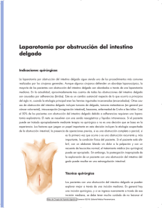 Laparotomía por obstrucción del intestino delgado