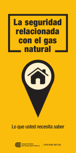 La seguridad relacionada con el gas natural