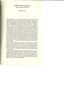 Análisis microestructura] de Los pazos de Ulloa