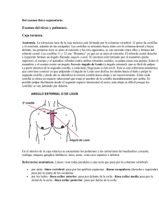 Examen del Torax y pulmones