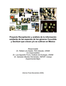 Informe final - Biodiversidad Mexicana