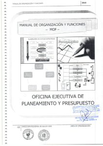 "IMAN—UAL— DE ORGANIZACIÓN Y FUNCIONES?