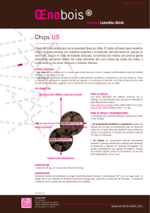 Chips US - Lamothe Abiet Bois