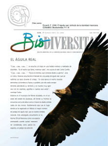 EL ágUILA REAL - Biodiversidad Mexicana