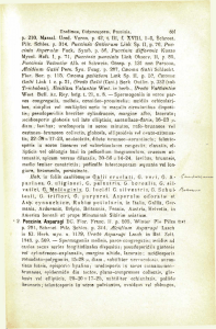 Puccinia. 60l p, 210, Massai. Ured. Veron. p. 42, t. III, f. XVI11, 1