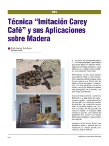 Técnica “Imitación Carey Café” y sus Aplicaciones sobre Madera