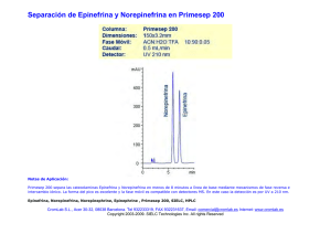 Separación de Epinefrina y Norepinefrina en Primesep 200