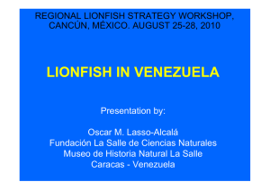 lionfish in venezuela