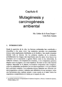 Mutagénesis y carcinogénesis ambiental, 1997