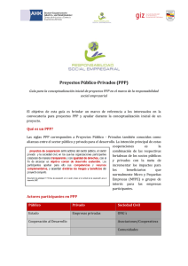 Proyectos Público-Privados (PPP)