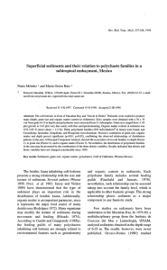 Superficial sediments and their relation to polyehaete families in a