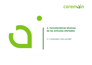 2. Características técnicas de los artículos ofertados