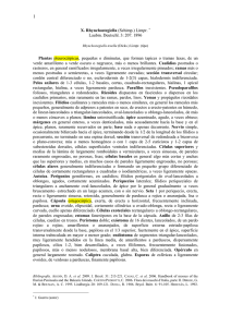 Texto del borrador - Flora Briofítica Ibérica