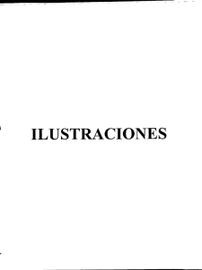 Ilustraciones.