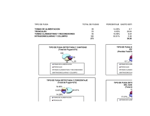 tipo de fuga total de fugas porcentaje gasto esti tomas de