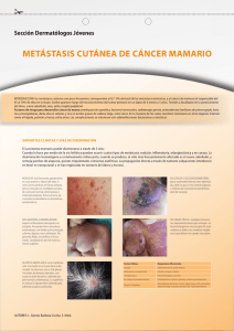 Dermatologia revista poster 20091102.indd