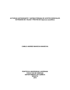 cien24 - Repositorio Institucional
