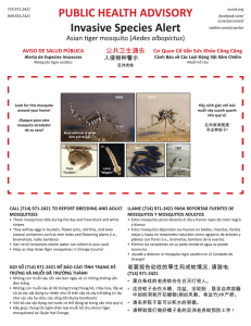 Invas¡ve Spec¡es Alert Asian tiger mosquito (Aedes albopictus)