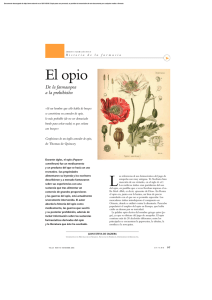 El opio - Elsevier