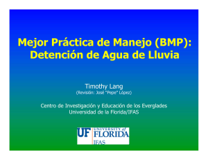 Mejor Práctica de Manejo (BMP): Detención de Agua de Lluvia