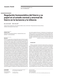 Regulación homeostática del hierro y su papel en el estado normal