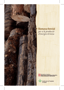 Quadern de biomassa forestal per a la producció d`energia