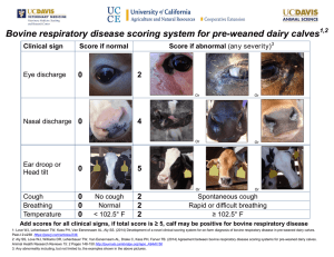 Bovine respiratory disease scoring system for pre