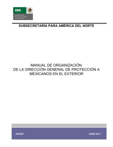 manual de organización de la dirección general de protección a