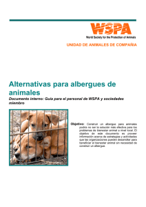 alternativas para albergues de animales – documento interno guía