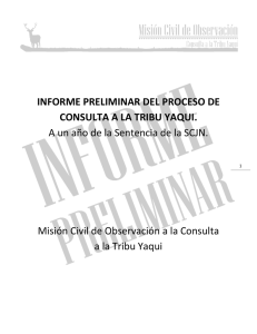informe preliminar del proceso de consulta a la tribu yaqui.