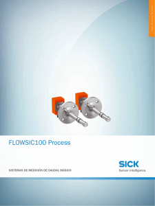 FLOWSIC100 Process, Hoja de datos en línea