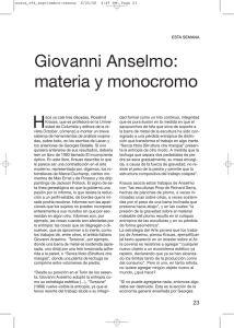 Giovanni Anselmo: materia y monocromo