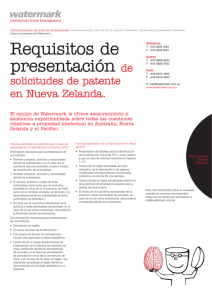 Requisitos para la presentación de patentes en Nueva