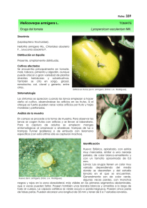 PDF ficha de diagnóstico - Ministerio de Agricultura, Alimentación y