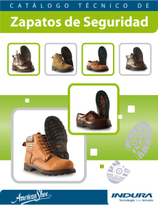 Zapatos de Seguridad