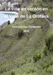 La via en cordn en el Valle de La Orotava