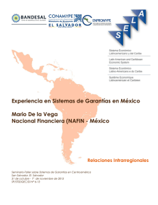 Experiencia en Sistemas de Garantías en México Mario De la Vega