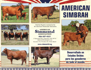 Simbrah Registry maintained by the American Simmental Association