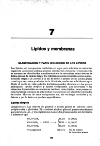 Lípidos y membranas