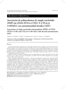 Asociación de polimorfismos de simple nucleótido (SNP) de CD28