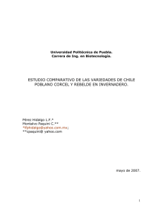 ESTUDIO COMPARATIVO DE LAS VARIEDADES DE CHILE