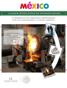 Su Mejor Oportunidad de Inversión en Minería