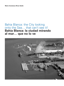 Bahia Blanca: the City looking onto the Sea… that can`t see it! Bahía