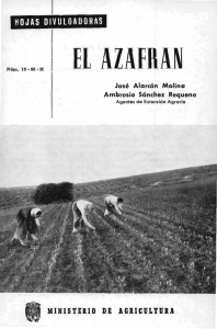 13/1968 - Ministerio de Agricultura, Alimentación y Medio Ambiente